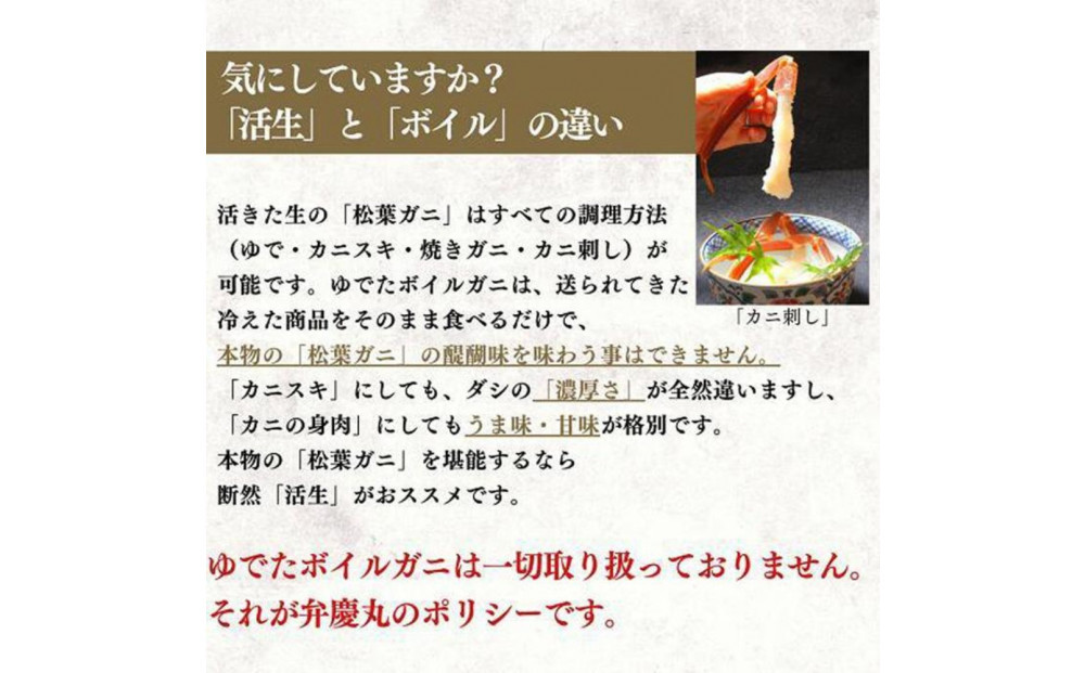 松葉ガニ活生「特大1枚」ブランドタグ付き※着日指定不可※【弁慶丸】
