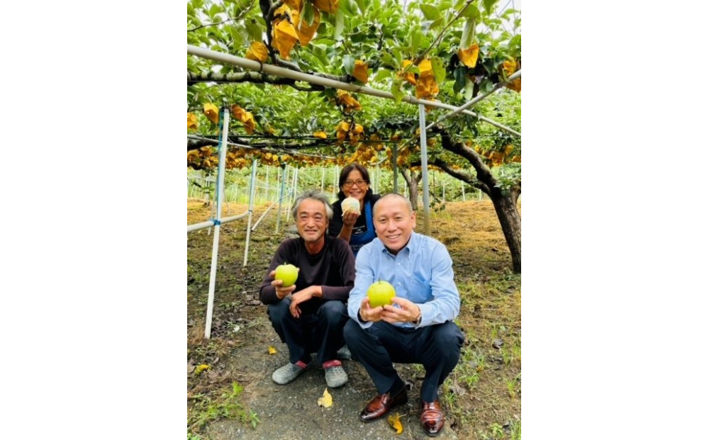 梨とらっきょうで作ったディップ 3種×7個セット