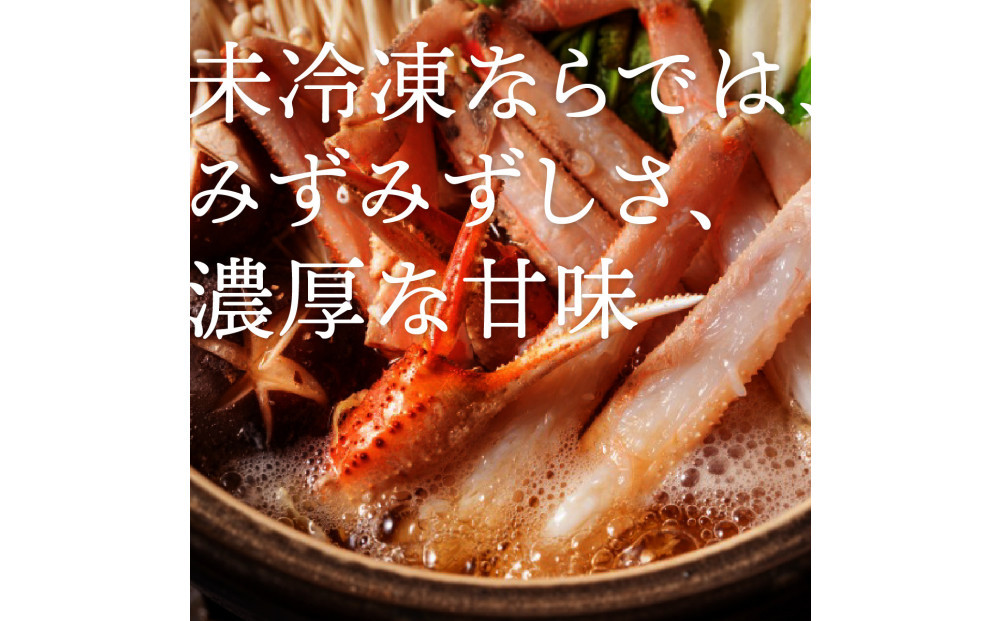 鳥取から直送！ 釜茹で 紅ズワイガニ3kg(6～7杯) 未冷凍【ボイル】