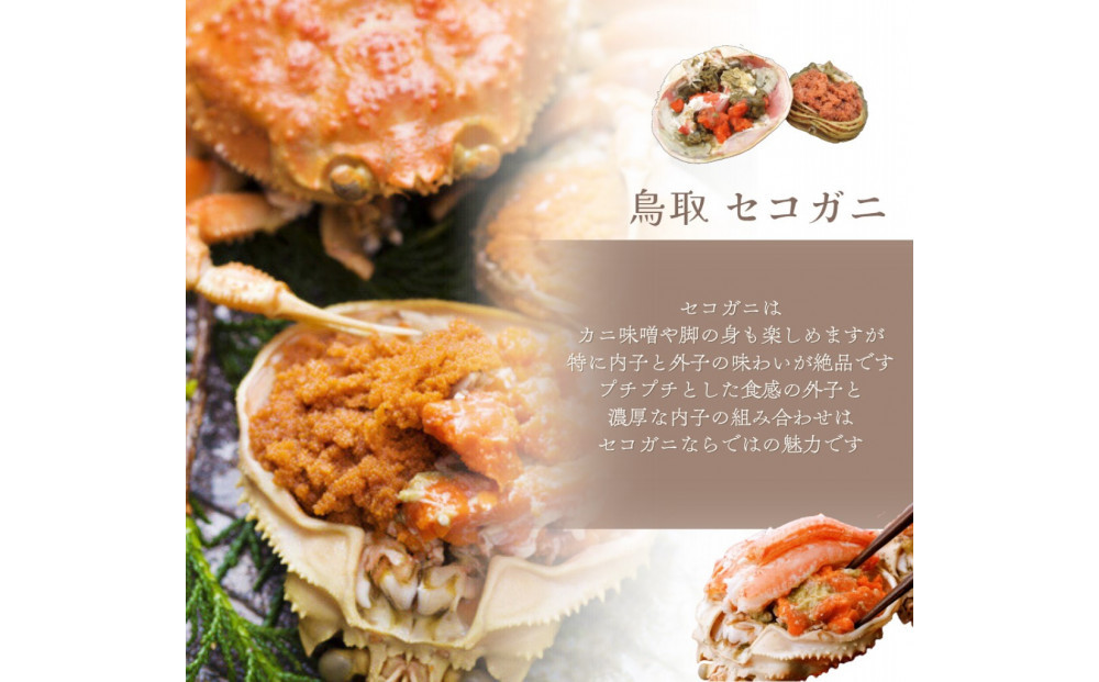 セコガニ 特大サイズ150～190g ×5枚 ご進物用（茹で）