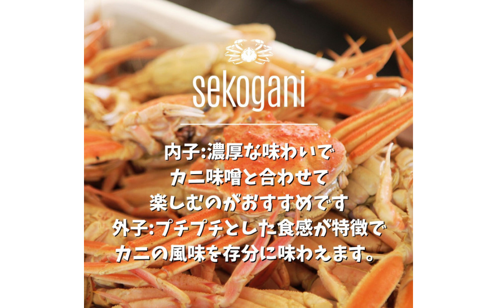 【訳あり】セコガニ 特大サイズ 5枚 (茹で)