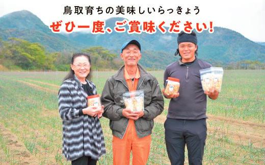 橋本さんちの砂丘らっきょう甘酢漬け 800g (瓶)