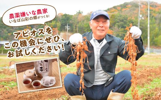 アピオス健康セット