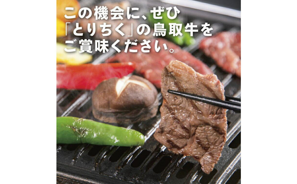 鳥取牛サンカクバラ焼肉用 600g（冷凍）
