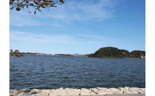 湖山池の大しじみ