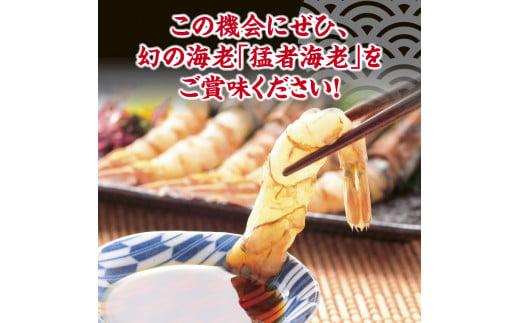 猛者海老 15匹×2パックセット【山根商店】