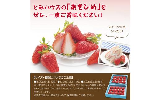あきひめDX 500g 鳥取いちご【とみハウス】