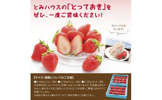 とっておきDX 500g 鳥取いちご【とみハウス】