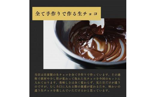 大容量 訳あり 生チョコレート 500g プレーン