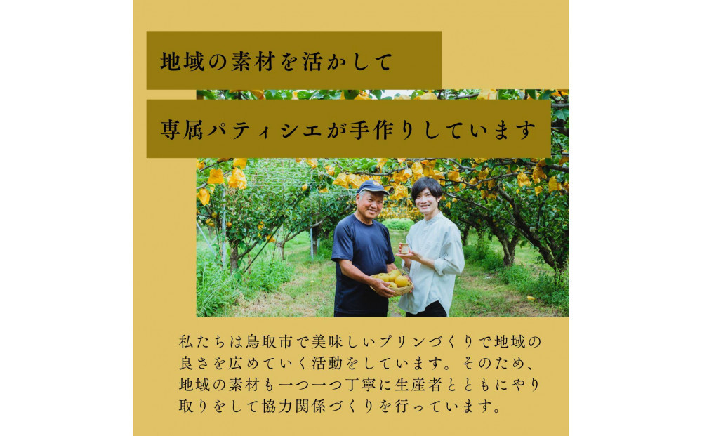 プリン専門店Totto PURIN プリン食べ比べ12個セット