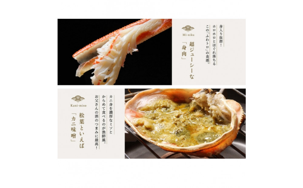 松葉ガニ 訳ありBセット※着日指定不可※【弁慶丸】