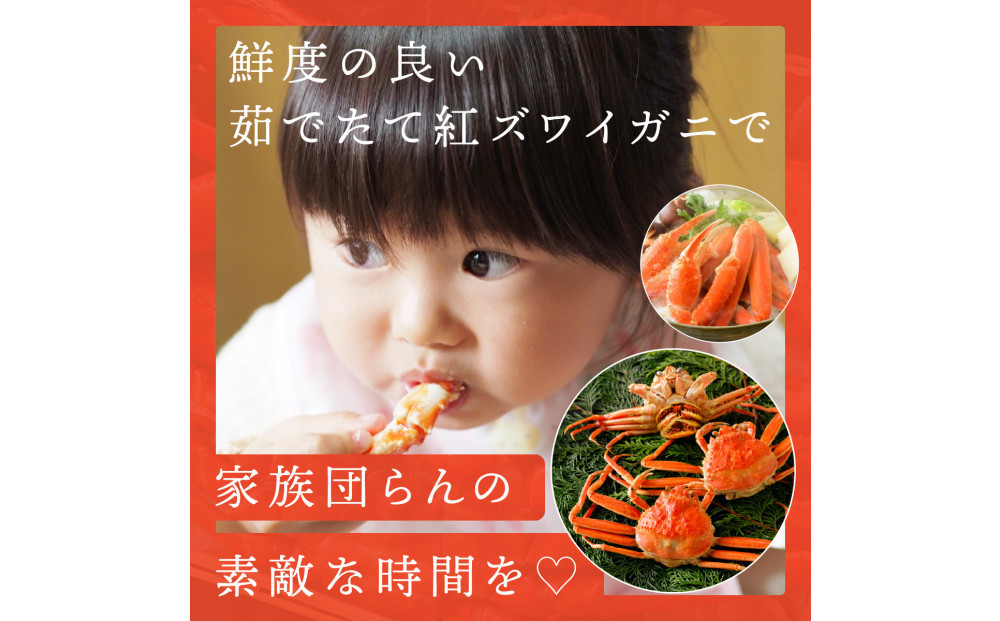 鳥取から直送！ 釜茹で 紅ズワイガニ3kg(6～7杯) 未冷凍【ボイル】
