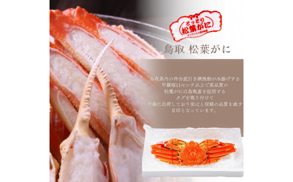 松葉がに タグ付き（茹で）中サイズ 1枚