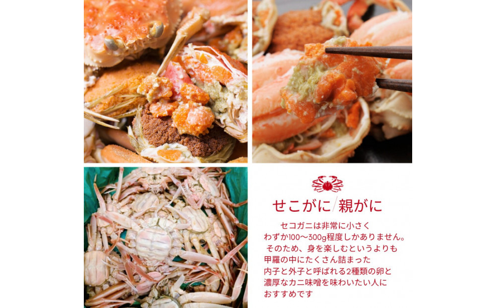 【訳あり】セコガニ 特大サイズ 5枚 (茹で)