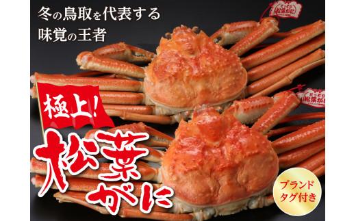 鳥取県産 タグ付き茹で松葉がに【中村商店】