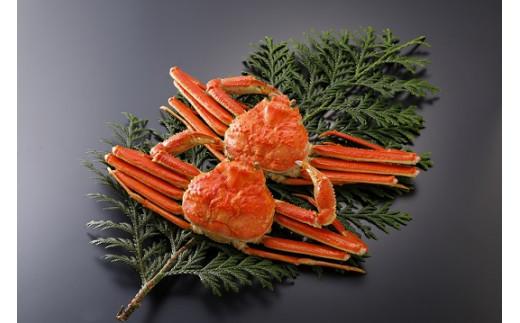 鳥取県産 訳あり茹で松葉がに2枚【中村商店】