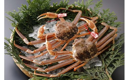 鳥取県産 タグ付き生松葉がに【中村商店】