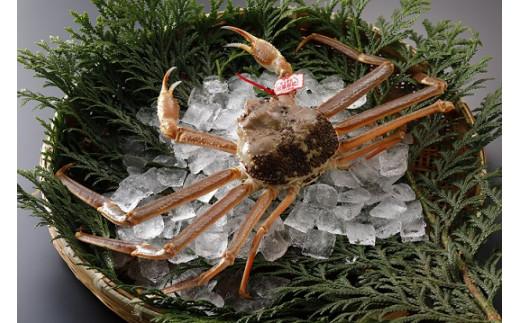 鳥取県産 タグ付き松葉がに(生＆茹で)【中村商店】