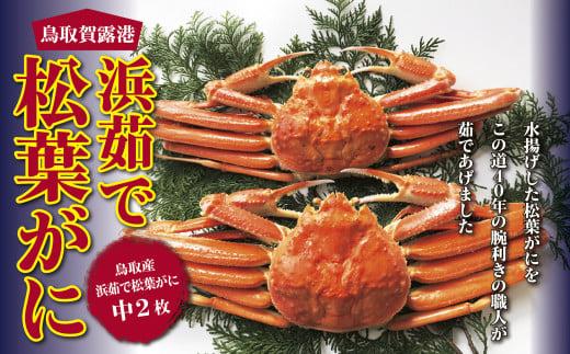 鳥取賀露港 浜茹で松葉がに【かねまさ・浜下商店】