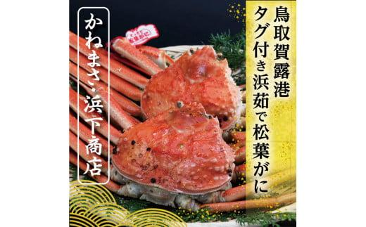 鳥取賀露港 タグ付き浜茹で松葉がに【かねまさ・浜下商店】