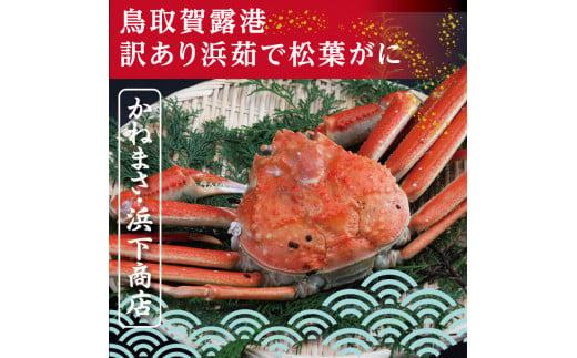 鳥取賀露港 訳あり浜茹で松葉がに 大 1枚【かねまさ・浜下商店】