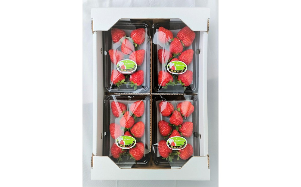 鳥取県新ブランド苺「とっておき」4パック詰合せ【苺工房たけうち】