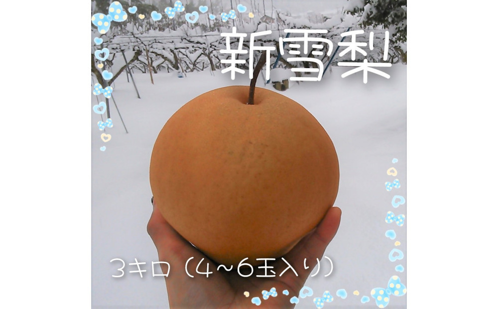 新雪梨 3kg【まえた農園】
