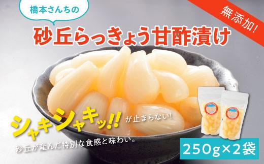 橋本さんちの砂丘らっきょう甘酢漬け 500g