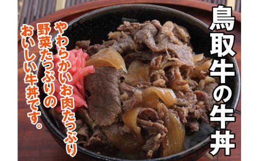 とりちく牛丼の素・鳥取ビーフハンバーグ詰め合わせ