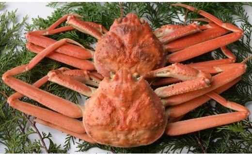 茹で松葉ガニ (小) 【株式会社つづお】