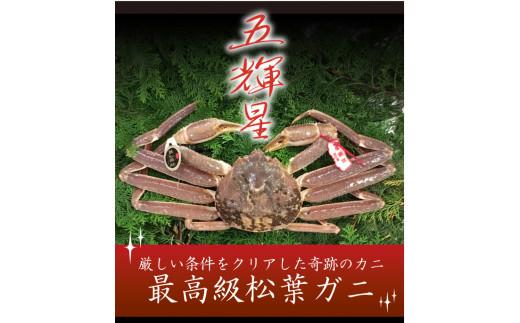 特選とっとり松葉ガニ「五輝星(いつきぼし)」【山根商店】