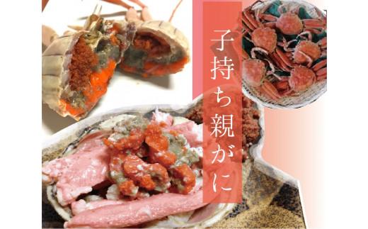 特選とっとりセコガ二 (親ガニ)5枚セット【山根商店】