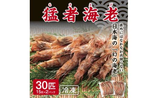 猛者海老 15匹×2パックセット【山根商店】