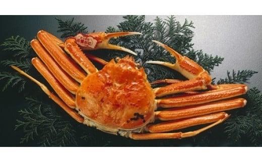 浜茹で特選とっとり松葉ガニ (特大)【山根商店】