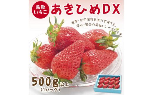 あきひめDX 500g 鳥取いちご【とみハウス】