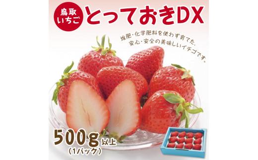 とっておきDX 500g 鳥取いちご【とみハウス】
