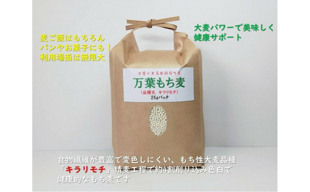 万葉の里鳥取市国府町産「万葉もち麦」2kg
