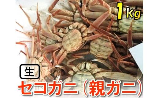 【魚倉】活お任せセコガニ 1kgセット
