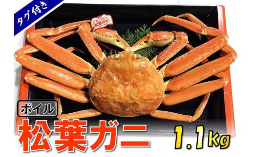 【魚倉】タグ付きボイル松葉ガニ (特特大1,100g)