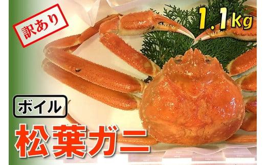 【魚倉】足1本なしボイル松葉ガニ (特特大1,100g) 訳あり
