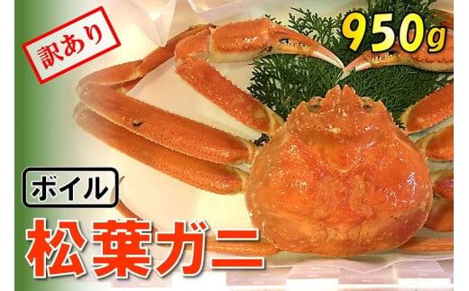 【魚倉】足1本なしボイル松葉ガニ (特大950g) 訳あり