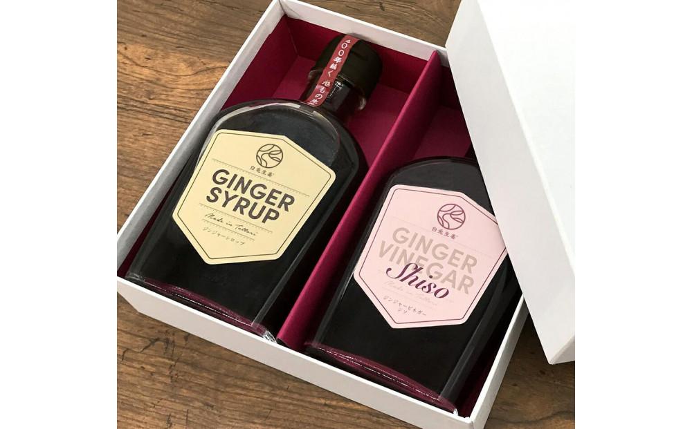 ジンジャーシロップ＆ジンジャービネガーシソ 2本(各200ml×1本)セット