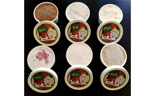 アイスクリーム 12個セット