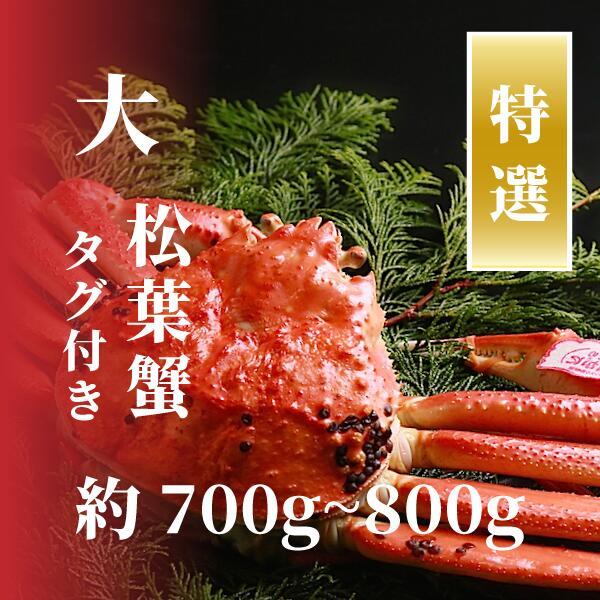 【特選】松葉ガニ 大サイズ 約700g～800g タグ付(茹で)