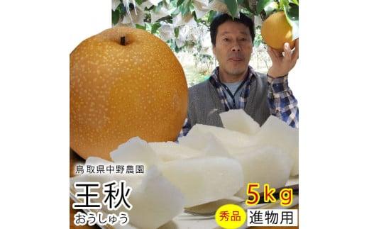 王秋梨 5kg 鳥取県産【フォーシーズン】