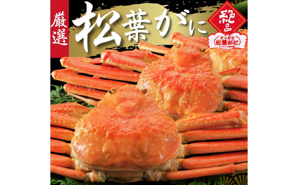 松葉がに タグ付き（茹で）中サイズ 1枚