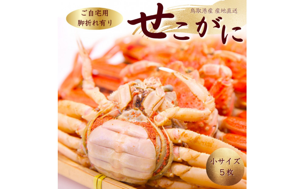 【訳あり】セコガニ 小サイズ 5枚 (茹で)