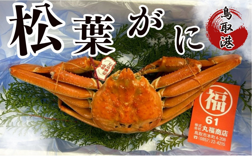 丸福商店社長厳選　鳥取港松葉ガニ