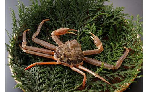 鳥取県産 訳あり生松葉がに1枚【中村商店】