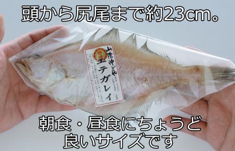 エテカレイ干物詰め合わせ-A